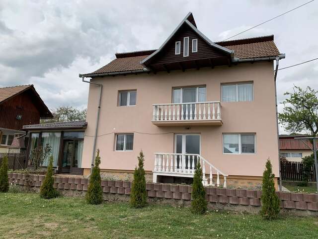 Дома для отпуска Vila Teo Bărăşti-5